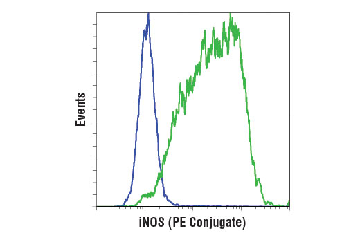 Flow Cytometry Image 1: iNOS (D6B6S) Rabbit mAb (PE Conjugate)