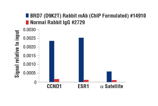 Chromatin Immunoprecipitation Image 3: BRD7 (D9K2T) Rabbit mAb (ChIP Formulated)