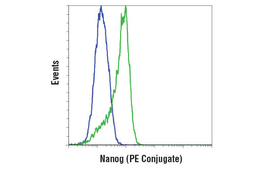 Flow Cytometry Image 1: Nanog (D73G4) XP® Rabbit mAb (PE Conjugate)