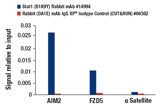  Image 1: IFN (Type I/III) Signaling Pathway Antibody Sampler Kit
