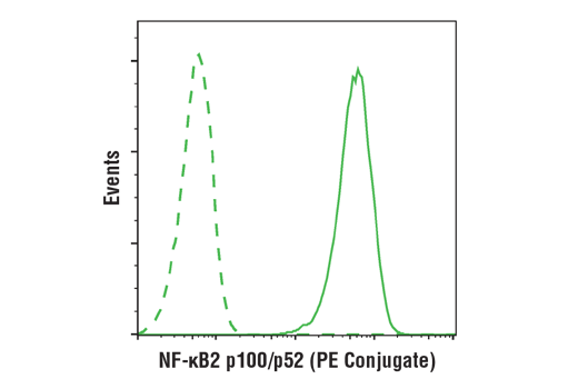 Flow Cytometry Image 1: NF-κB2 p100/p52 (18D10) Rabbit mAb (PE Conjugate)
