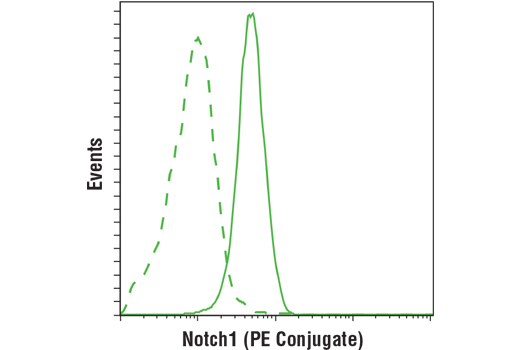 Flow Cytometry Image 1: Notch1 (D6F11) XP® Rabbit mAb (PE Conjugate)