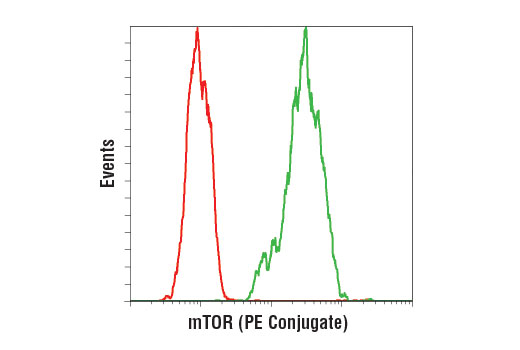 Flow Cytometry Image 1: mTOR (7C10) Rabbit mAb (PE Conjugate)