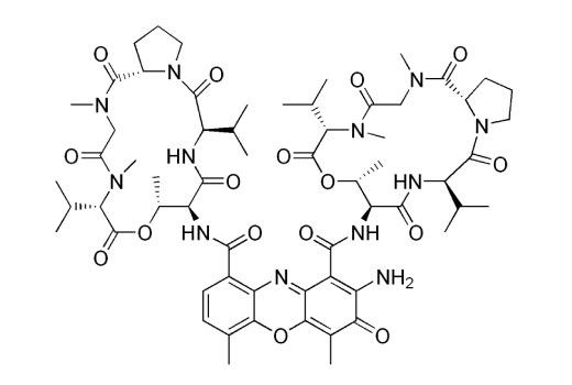  Image 3: Actinomycin D