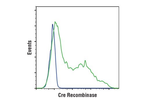 Flow Cytometry Image 1: Cre Recombinase (D7L7L) XP® Rabbit mAb