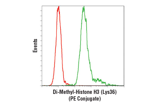 Flow Cytometry Image 1: Di-Methyl-Histone H3 (Lys36) (C75H12) Rabbit mAb (PE Conjugate)