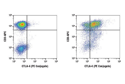 Flow Cytometry Image 2: CTLA-4 (D4E9I) Rabbit mAb (PE Conjugate)