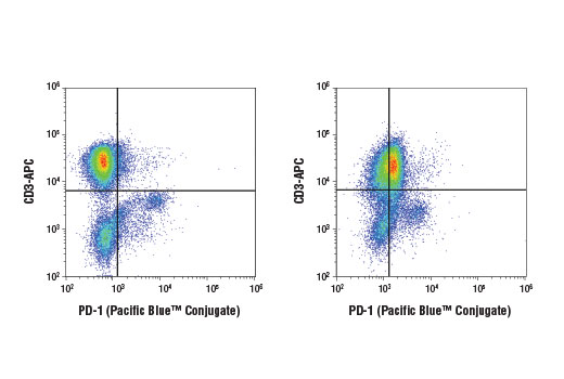 Flow Cytometry Image 1: PD-1 (D3O4S) Rabbit mAb (Pacific Blue™ Conjugate)