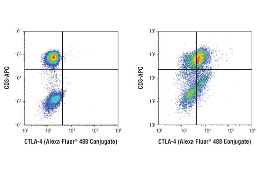 Flow Cytometry Image 2: CTLA-4 (D4E9I) Rabbit mAb (Alexa Fluor® 488 Conjugate)