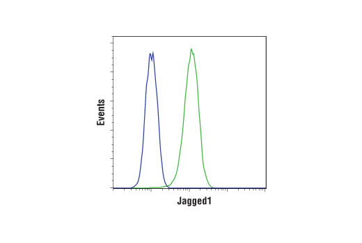 Flow Cytometry Image 1: Jagged1 (D4Y1R) XP® Rabbit mAb (BSA and Azide Free)