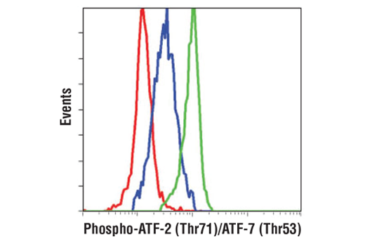 Flow Cytometry Image 1: Phospho-ATF-2 (Thr71)/ATF-7 (Thr53) (A8J7P) Rabbit mAb