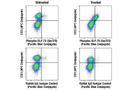 Flow Cytometry Image 2: Phospho-SLP-76 (Ser376) (E3G9U) XP® Rabbit mAb (Pacific Blue™ Conjugate)