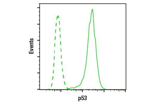 Flow Cytometry Image 1: p53 (1C12) Mouse mAb (BSA and Azide Free)