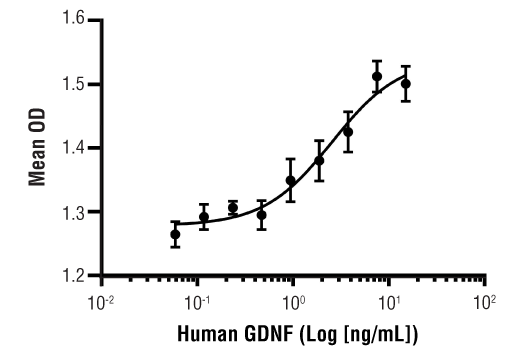  Image 1: Human GDNF Recombinant Protein