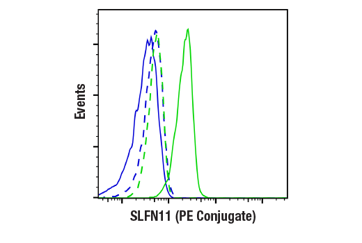 Flow Cytometry Image 1: SLFN11 (D8W1B) Rabbit mAb (PE Conjugate)