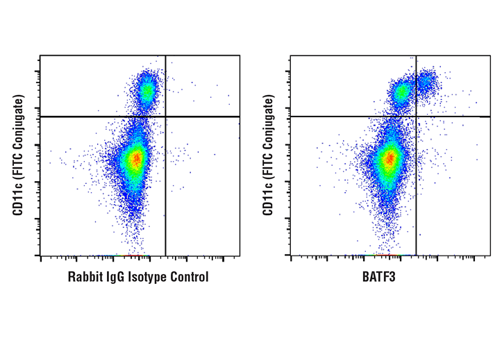 Flow Cytometry Image 1: BATF3 (E3K5H) Rabbit mAb