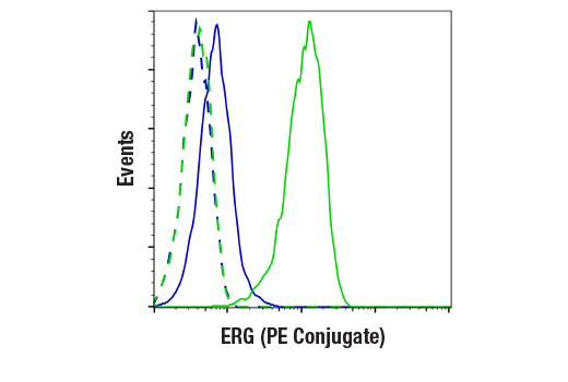 Flow Cytometry Image 1: ERG (A7L1G) Rabbit mAb (PE Conjugate)