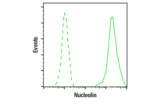 Flow Cytometry Image 1: Nucleolin (D4C7O) Rabbit mAb (BSA and Azide Free)