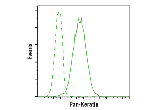 Flow Cytometry Image 1: Pan-Keratin (C11) Mouse mAb (BSA and Azide Free)