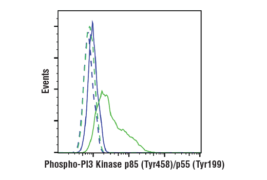 Flow Cytometry Image 1: Phospho-PI3 Kinase p85 (Tyr458)/p55 (Tyr199) (E3U1H) Rabbit mAb