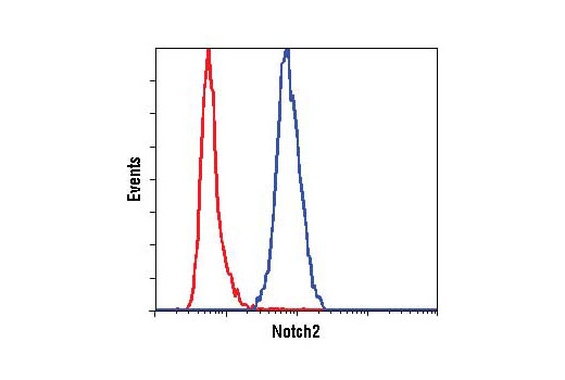 Flow Cytometry Image 1: Notch2 (D76A6) XP® Rabbit mAb (BSA and Azide Free)