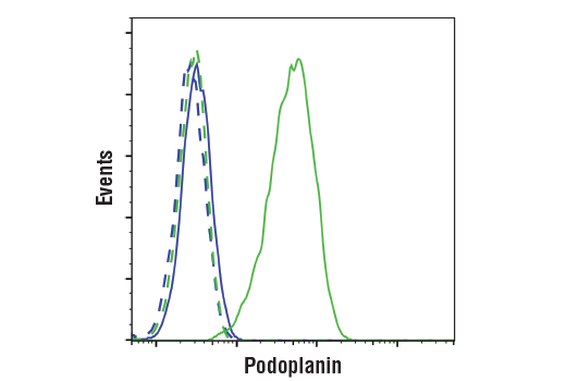 Flow Cytometry Image 1: Podoplanin (D9D7) Rabbit mAb (BSA and Azide Free)