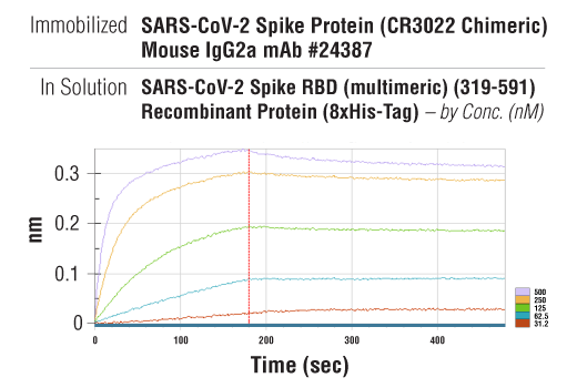 Image 1: SARS-CoV-2 Spike RBD (multimeric) (319-591) Recombinant Protein (8xHis-Tag)
