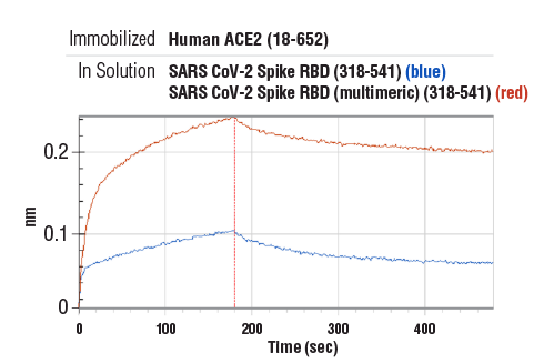  Image 2: SARS-CoV-2 Spike RBD (multimeric) (319-591) Recombinant Protein (8xHis-Tag)