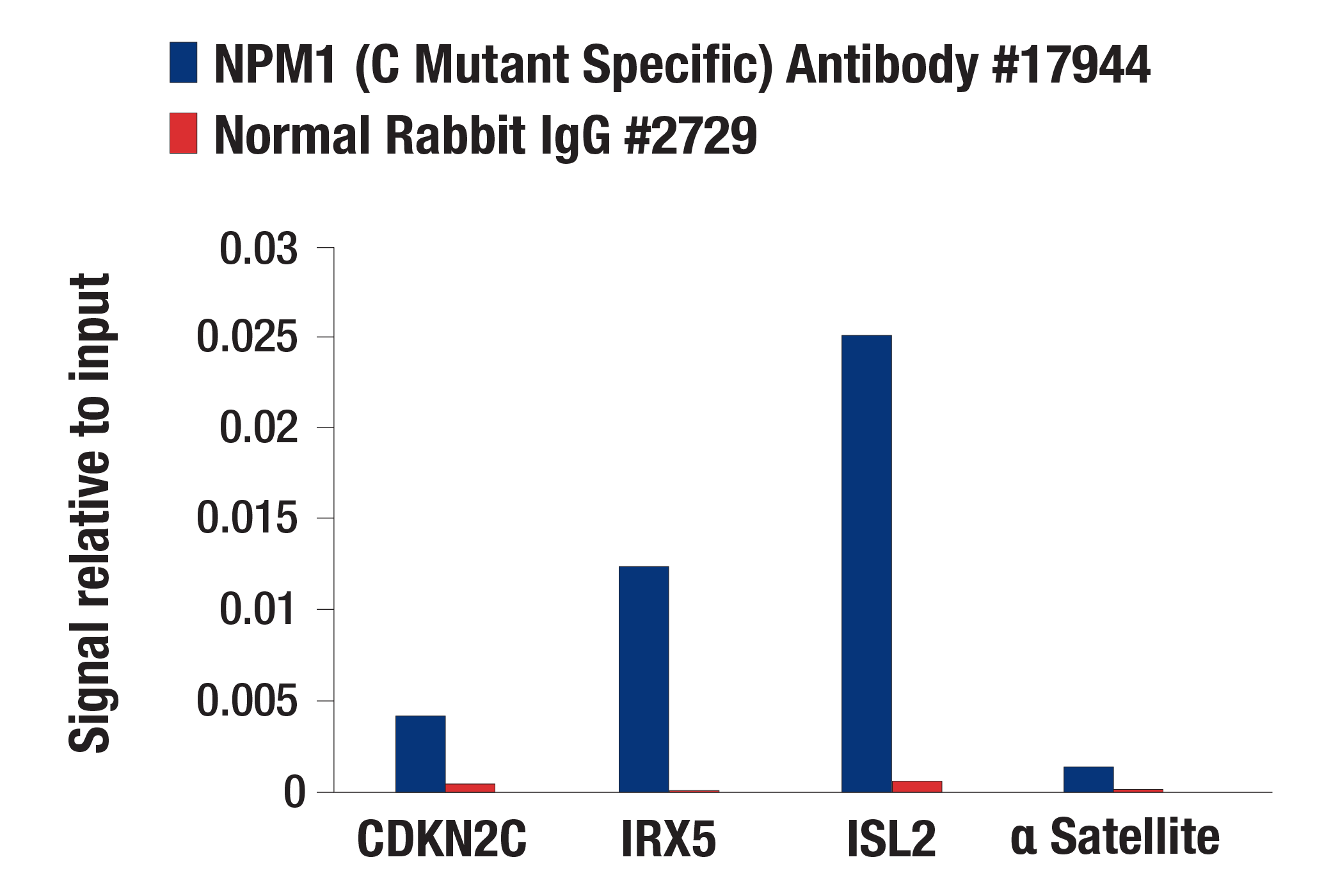 Chromatin Immunoprecipitation Image 1: NPM1 (C Mutant Specific) Antibody