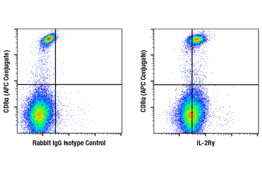 Flow Cytometry Image 1: IL-2Rγ (E2Z5W) Rabbit mAb