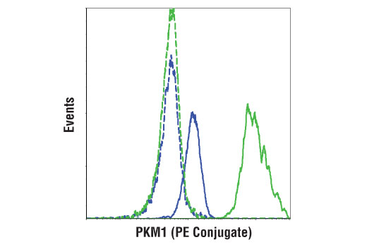 Flow Cytometry Image 1: PKM1 (D30G6) XP® Rabbit mAb (PE Conjugate)