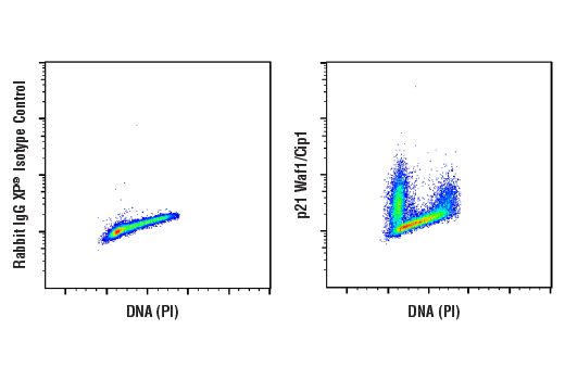 Flow Cytometry Image 1: p21 Waf1/Cip1 (12D1) Rabbit mAb (BSA and Azide Free)