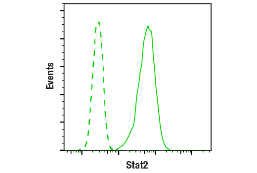 Flow Cytometry Image 1: Stat2 (D9J7L) Rabbit mAb (BSA and Azide Free)
