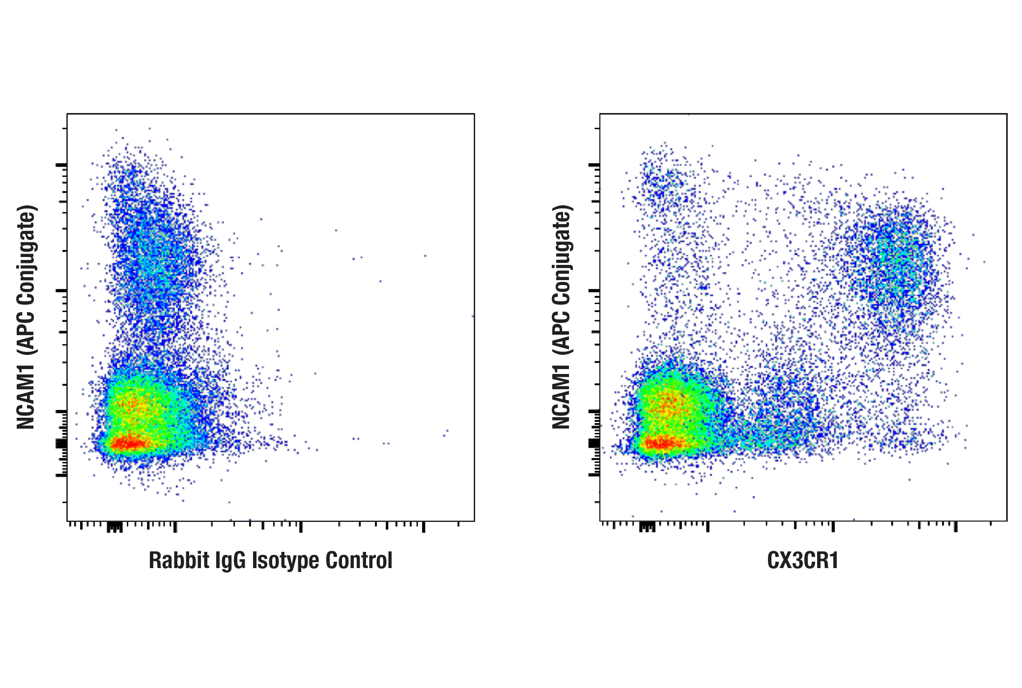 Flow Cytometry Image 3: CX3CR1 (E9J4I) Rabbit mAb