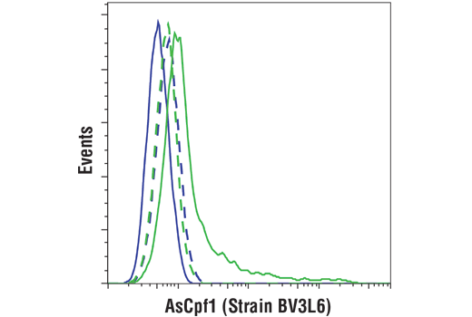 Flow Cytometry Image 1: AsCpf1/Cas12a (Strain BV3L6) (E1U7C) Rabbit mAb