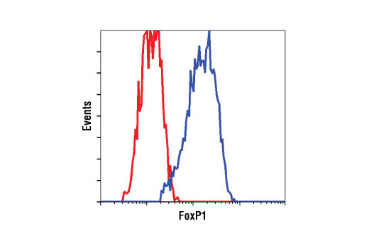 Flow Cytometry Image 1: FoxP1 Antibody