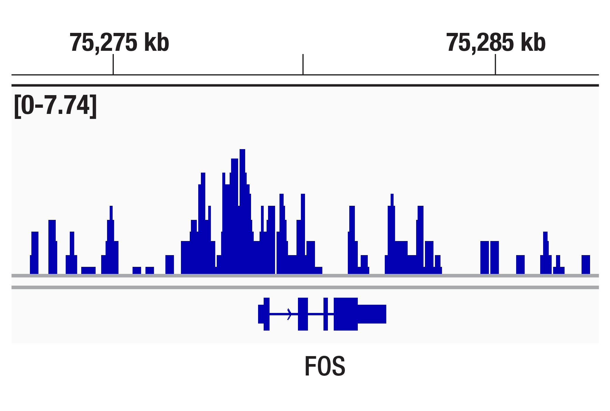 CUT & RUN Image 1: SRC-1 (D1M3Y) Rabbit Monoclonal Antibody