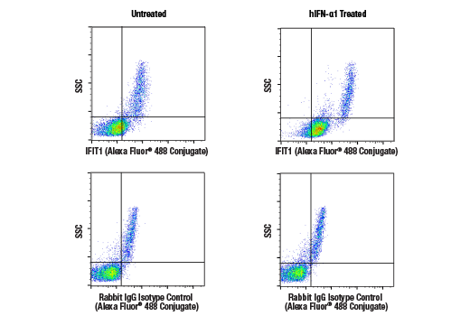 Flow Cytometry Image 1: IFIT1 (D2X9Z) Rabbit mAb (Alexa Fluor® 488 Conjugate)