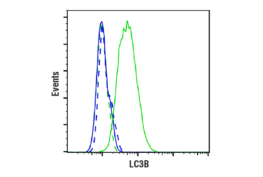 Flow Cytometry Image 2: LC3B (E5Q2K) Mouse mAb (BSA and Azide Free)