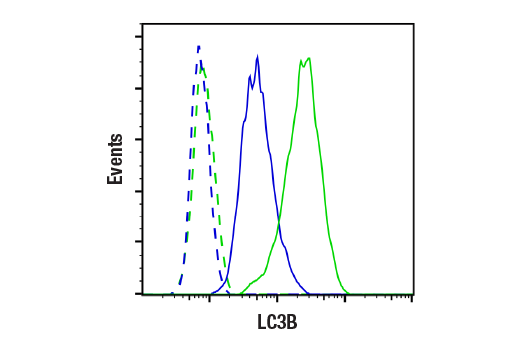 Flow Cytometry Image 1: LC3B (E5Q2K) Mouse mAb (BSA and Azide Free)