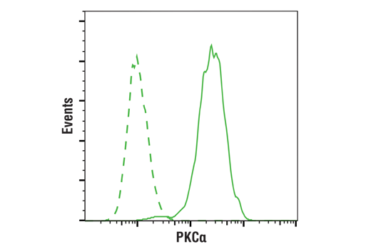  Image 10: PKC Isoform Antibody Sampler Kit