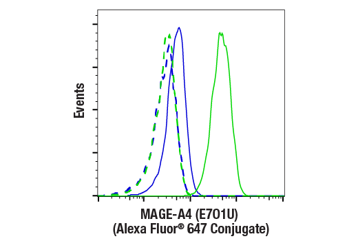Flow Cytometry Image 1: MAGE-A4 (E7O1U) XP® Rabbit mAb (Alexa Fluor® 647 Conjugate)
