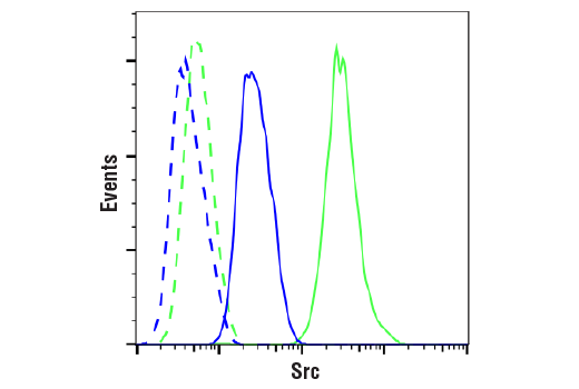 Flow Cytometry Image 1: Src (36D10) Rabbit mAb (BSA and Azide Free)