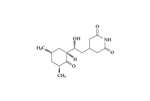  Image 3: Cycloheximide