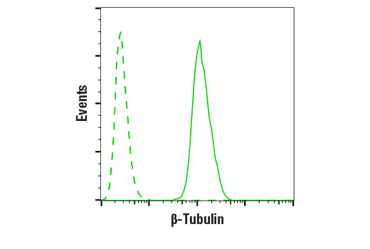 Flow Cytometry Image 1: β-Tubulin (9F3) Rabbit mAb