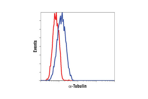 Flow Cytometry Image 1: α-Tubulin Antibody