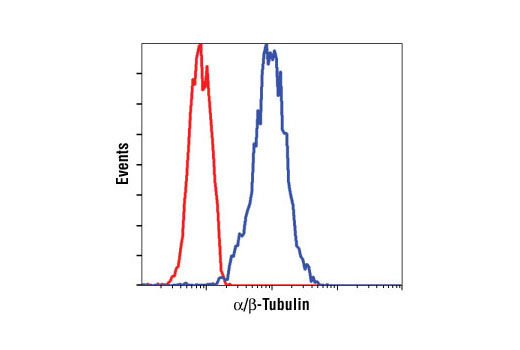 Flow Cytometry Image 1: α/β-Tubulin Antibody