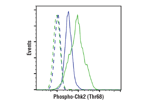 Flow Cytometry Image 1: Phospho-Chk2 (Thr68) (C13C1) Rabbit mAb