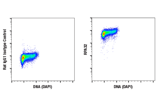  Image 2: UV Induced DNA Damage Response Antibody Sampler Kit