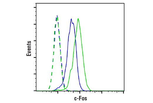 Flow Cytometry Image 1: c-Fos (9F6) Rabbit mAb